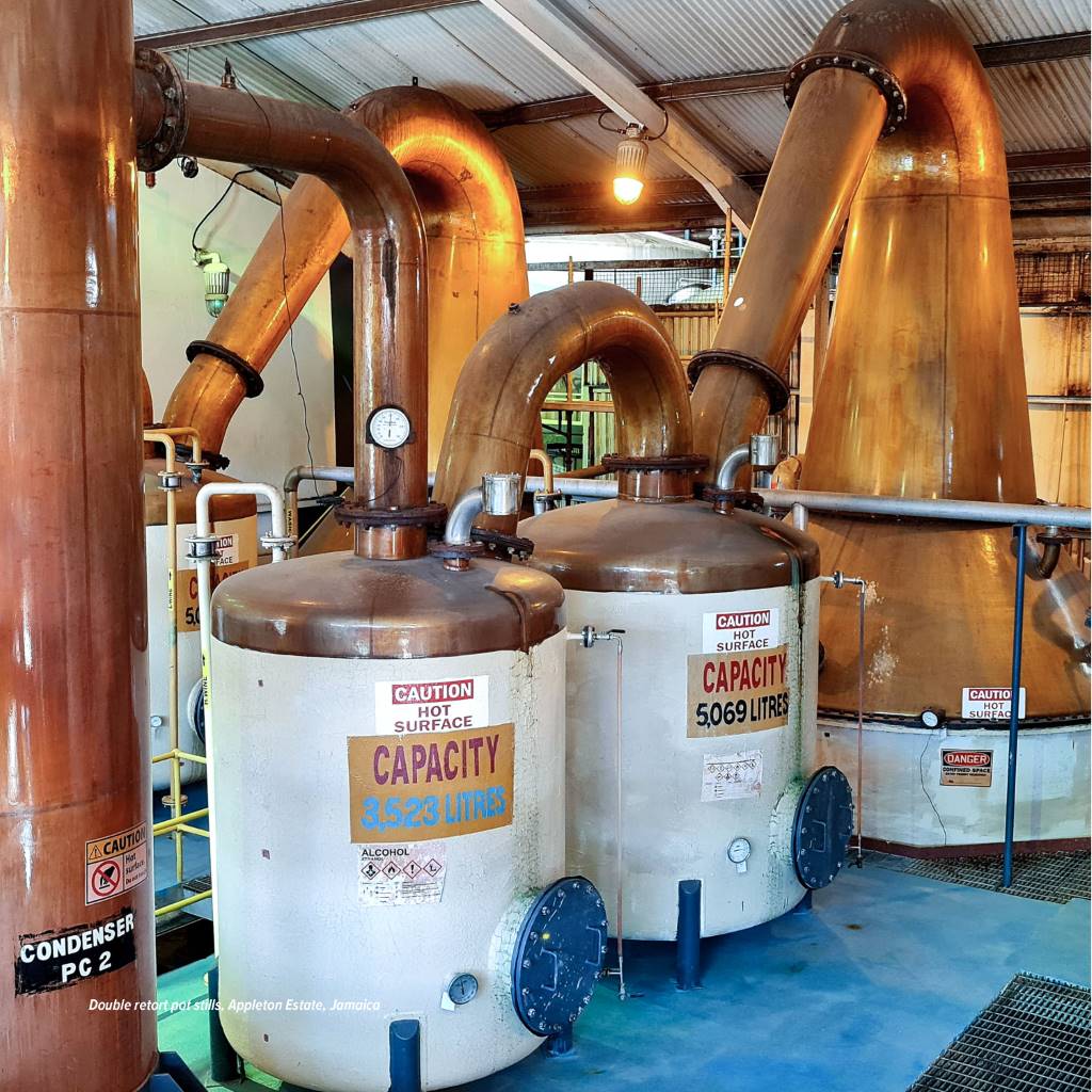 Modern Caribbean Rum (Book)