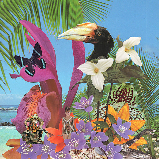 Monster Rally - Adventures on the Floating Island (LP)