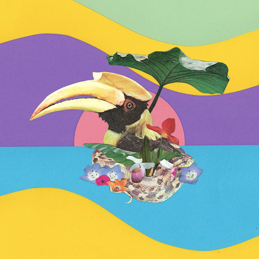 Monster Rally - Flowering Jungle (LP)
