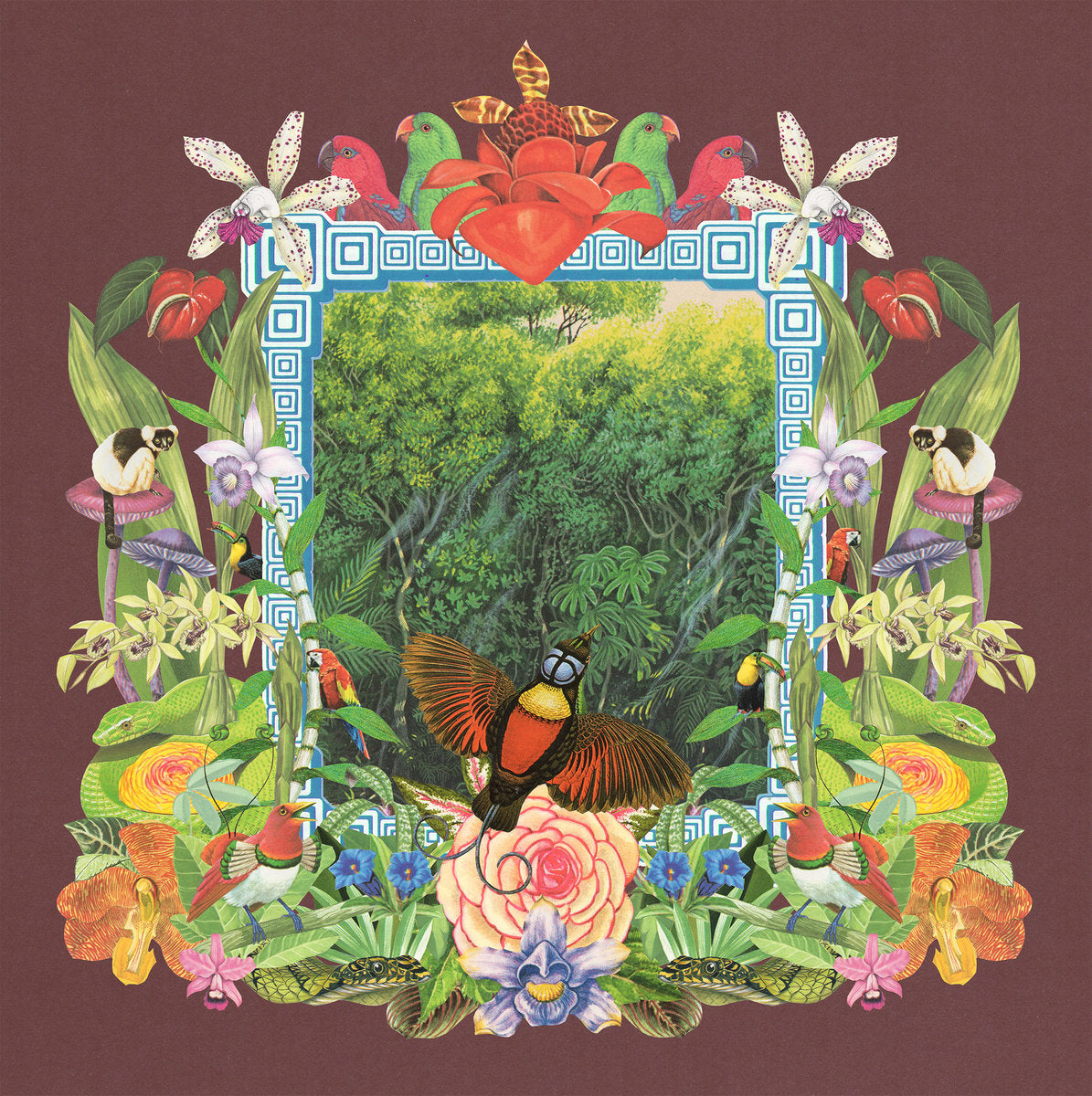 Monster Rally - Botanica Dream (LP)